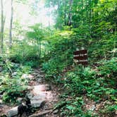 Review photo of Hickory Ridge Campground — Grayson Highlands State Park by Shelly S., September 22, 2019