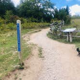 Review photo of Hickory Ridge Campground — Grayson Highlands State Park by Shelly S., September 22, 2019