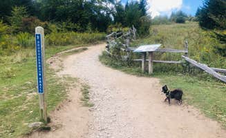 Shelly S.'s photo of camping with pets at Hickory Ridge Campground — Grayson Highlands State Park near Mouth of Wilson, VA