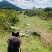 Review photo of Hickory Ridge Campground — Grayson Highlands State Park by Shelly S., September 22, 2019