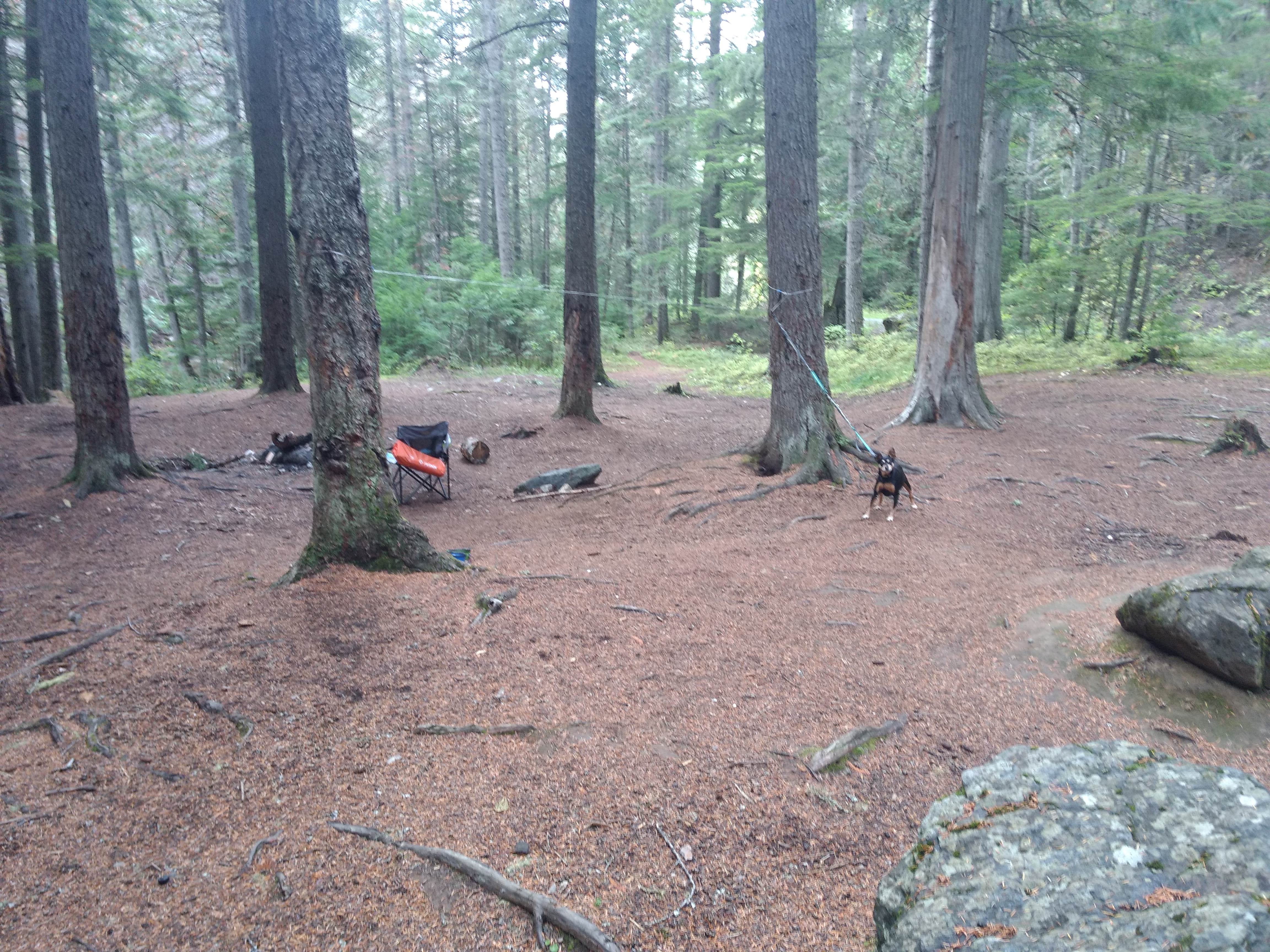 Campground from creek
