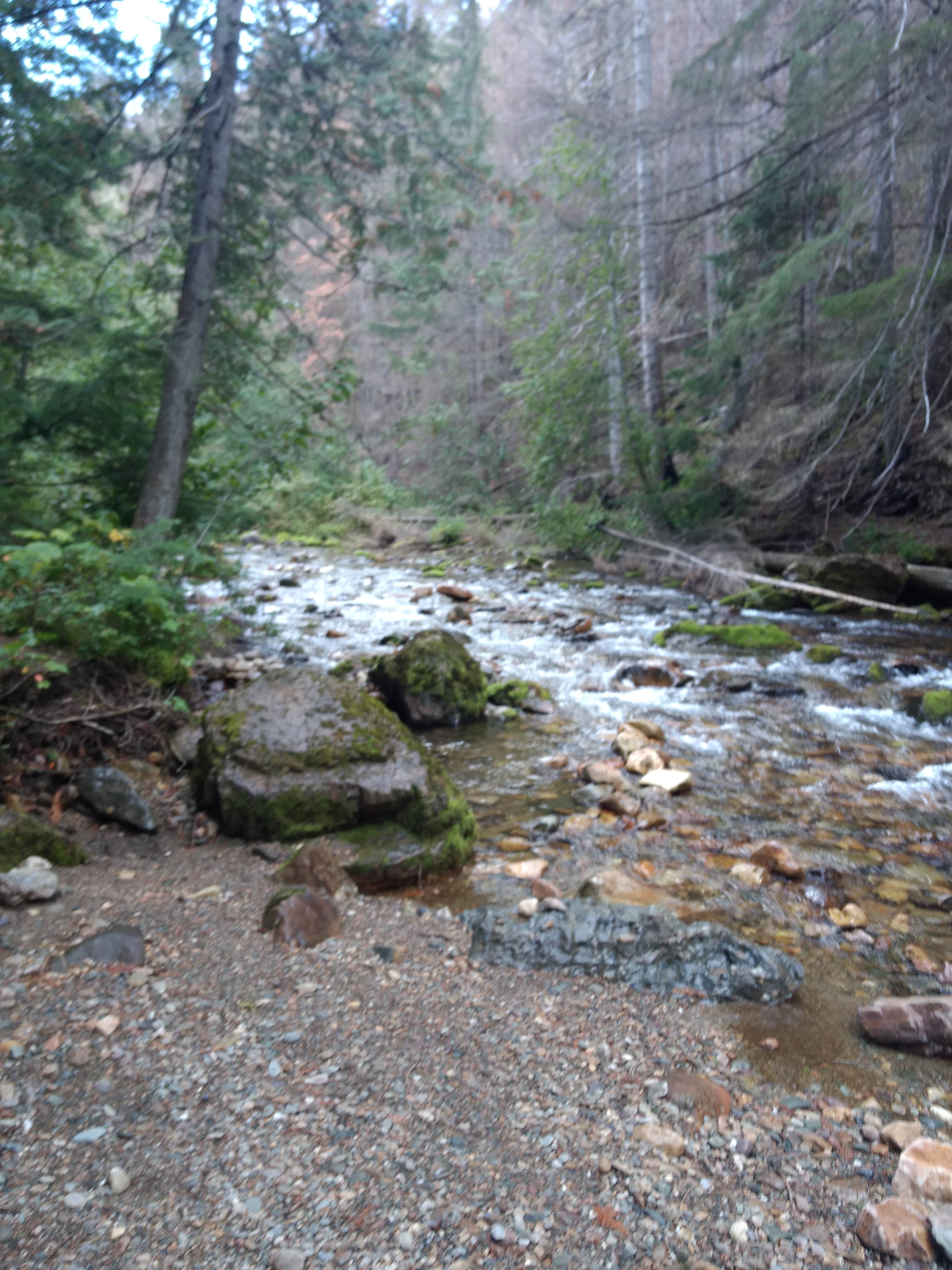 Camper-submitted photo at Sullivan creek campground#2 near Ione, WA