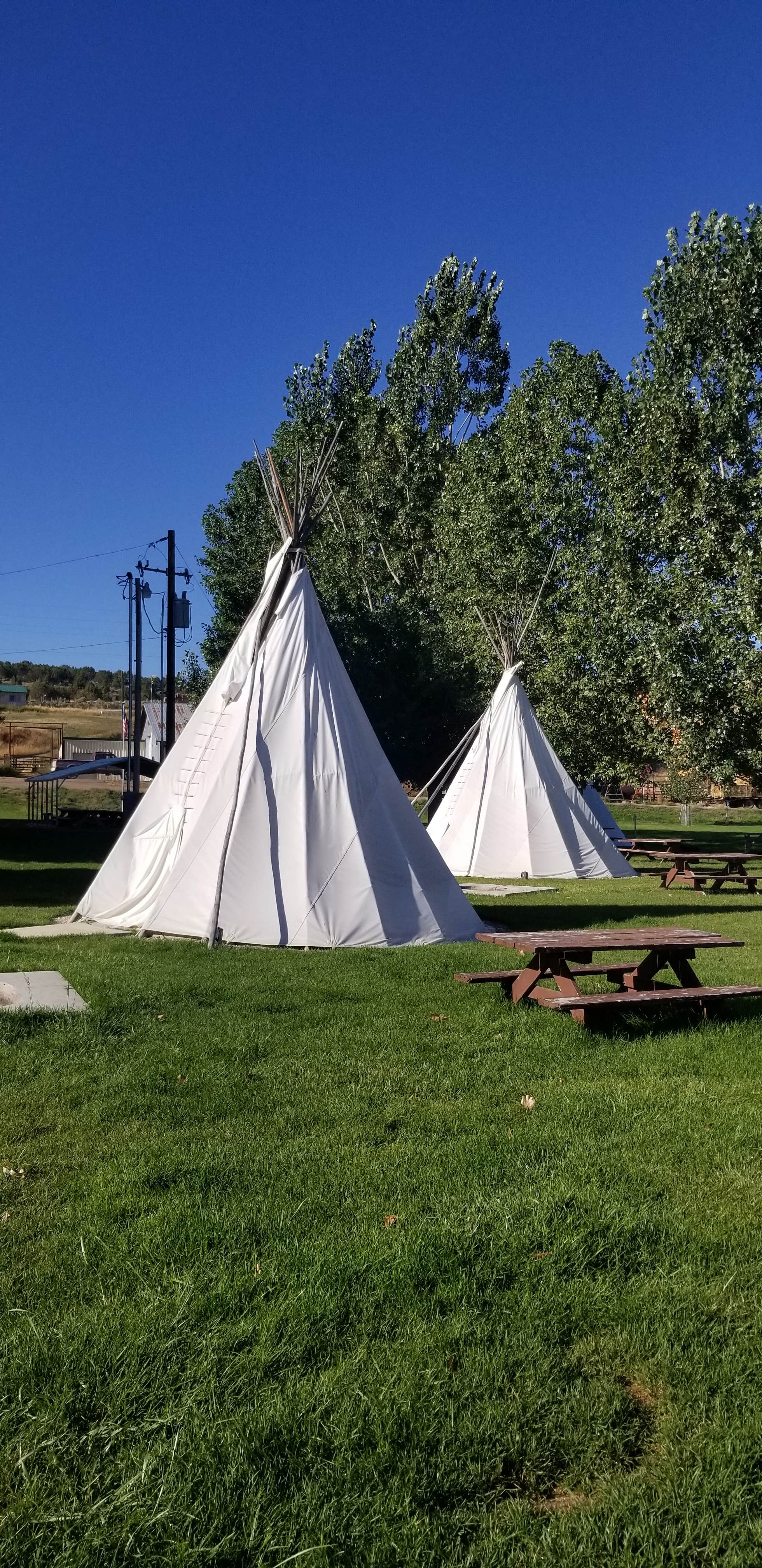 Camper submitted image from Downata Hot Springs - 4