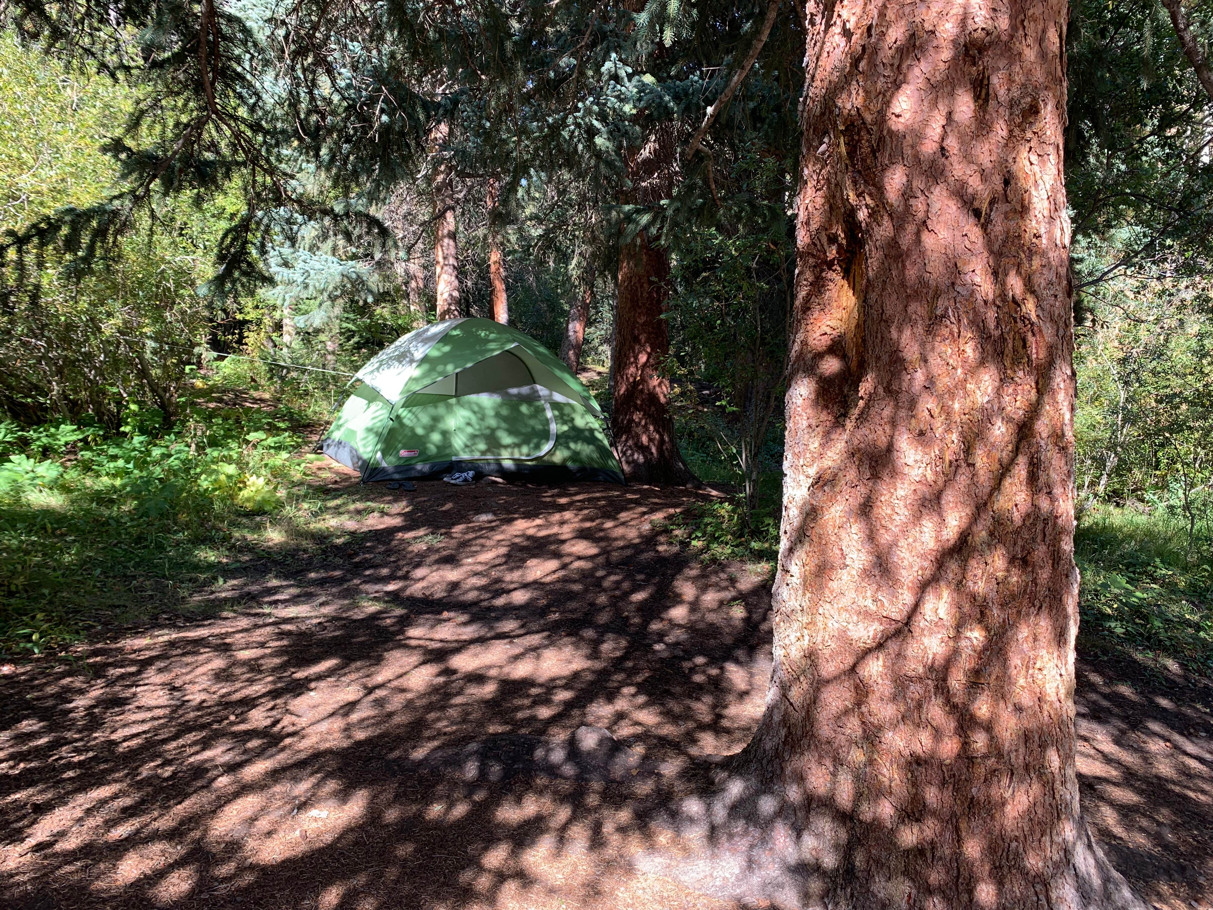 Camper submitted image from Deer Creek - 2
