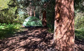 mary C.'s photo at Deer Creek near Grant, CO