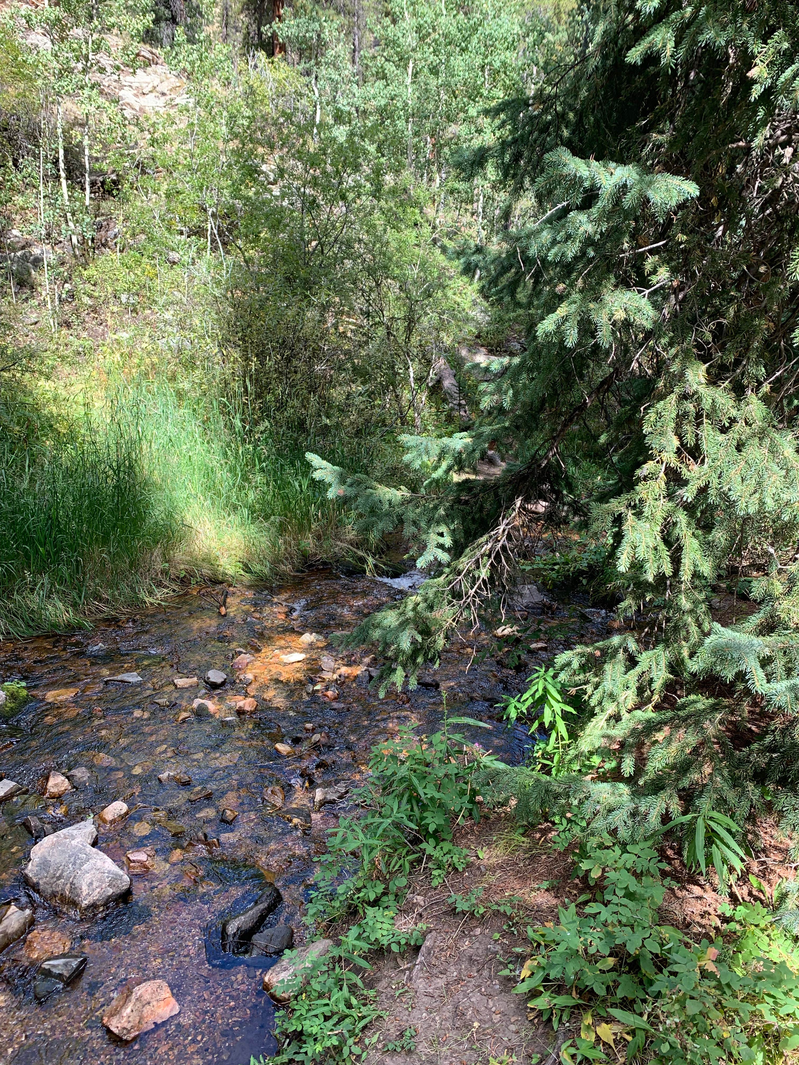 Camper submitted image from Deer Creek - 4