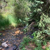 Review photo of Deer Creek Campground by mary C., September 22, 2019