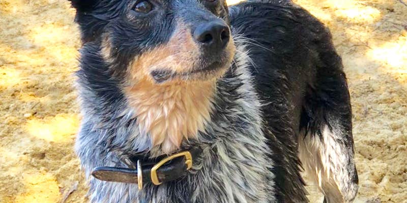 Camper submitted image from Timberline Lake Camping Resort