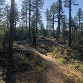 Review photo of White Spar Campground by Melissa S., September 20, 2019