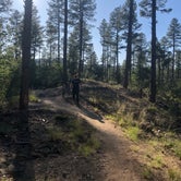 Review photo of White Spar Campground by Melissa S., September 20, 2019