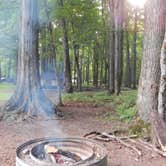 Review photo of Presque Isle - Porcupine Mountains State Park by Nona A., August 10, 2017