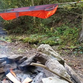 Nice fire pit, trees are far enough apart to have hammock right on the river