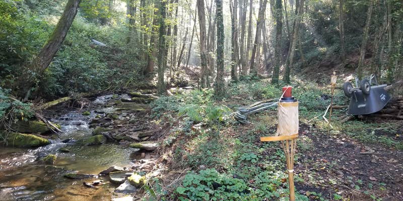 Camper submitted image from Riverbend Lodge