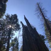 Review photo of North Grove Campground — Calaveras Big Trees State Park by Quinn M., September 23, 2019