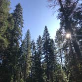 Review photo of North Grove Campground — Calaveras Big Trees State Park by Quinn M., September 23, 2019