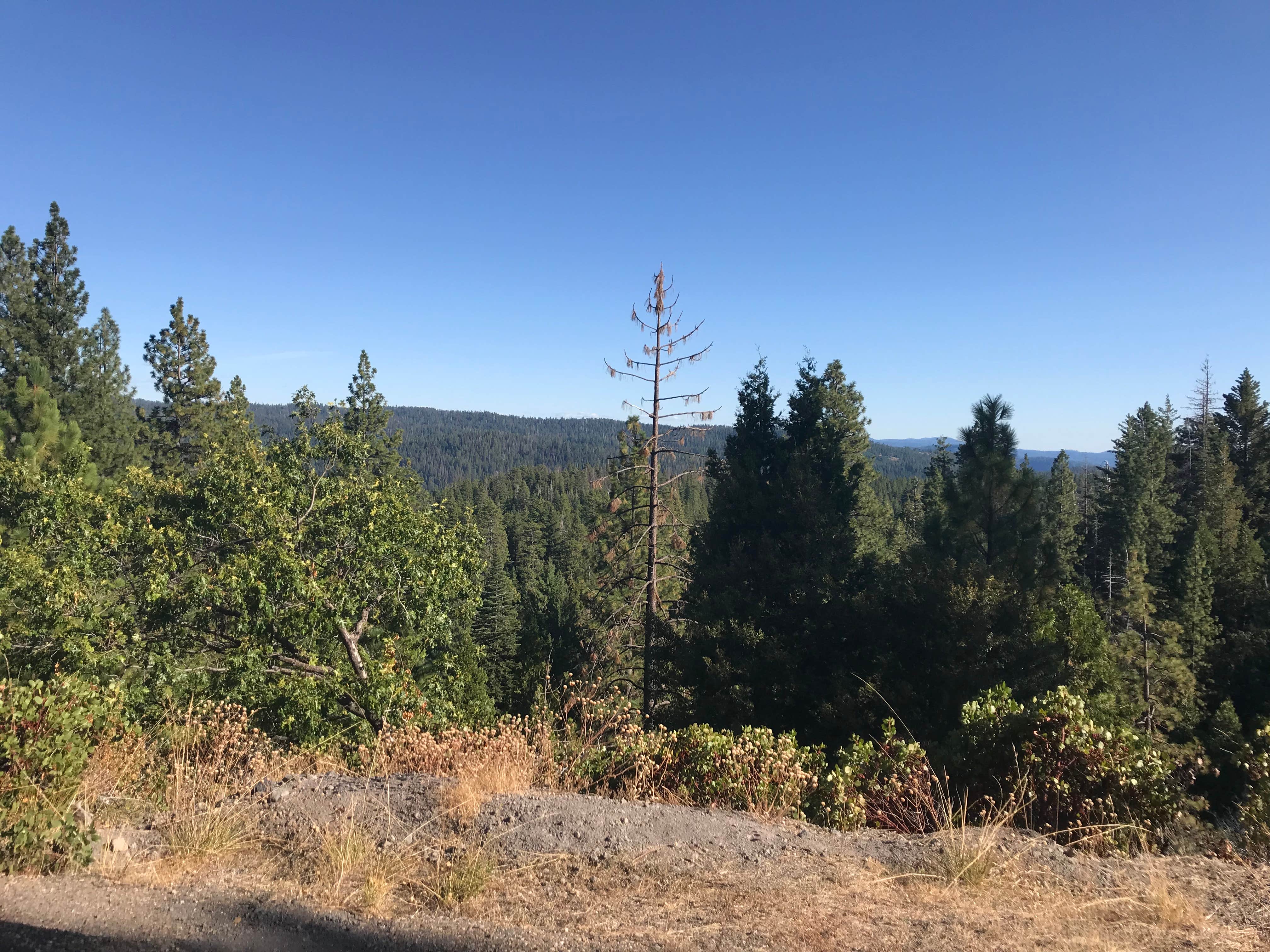 Camper-submitted photo at North Grove Campground — Calaveras Big Trees State Park near Angels, CA
