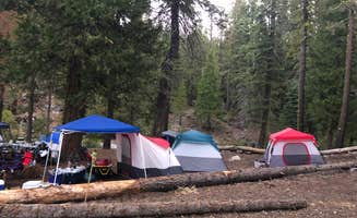 Mee X.'s photo at Middle Fork Cosumnes Campground near Eldorado National Forest