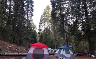Mee X.'s photo at Middle Fork Cosumnes Campground near Eldorado National Forest