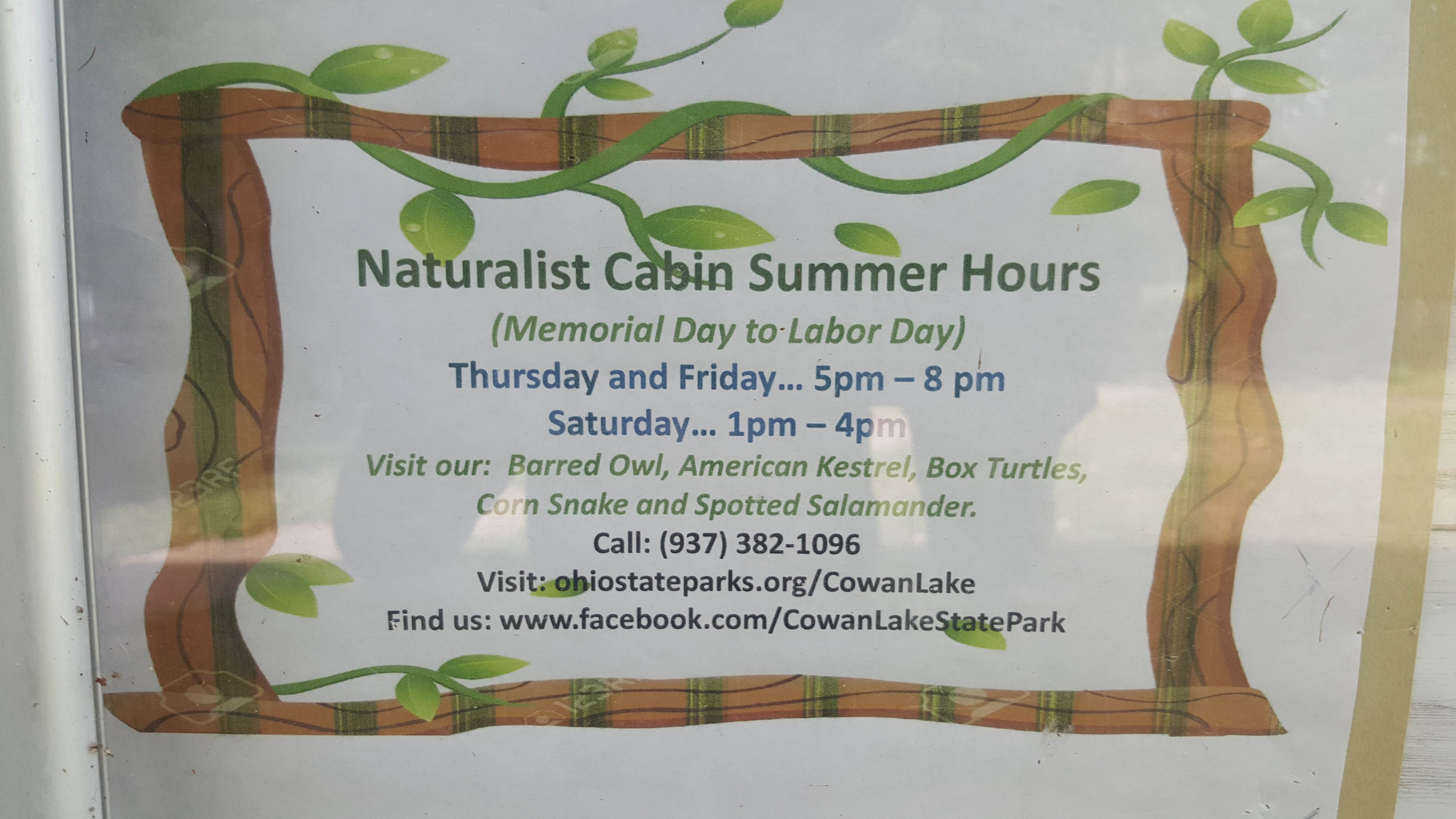 Camper submitted image from Cowan Lake State Park Campground - 5