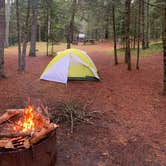 Review photo of Portage Bay State Forest Campground by Chris F., September 23, 2019
