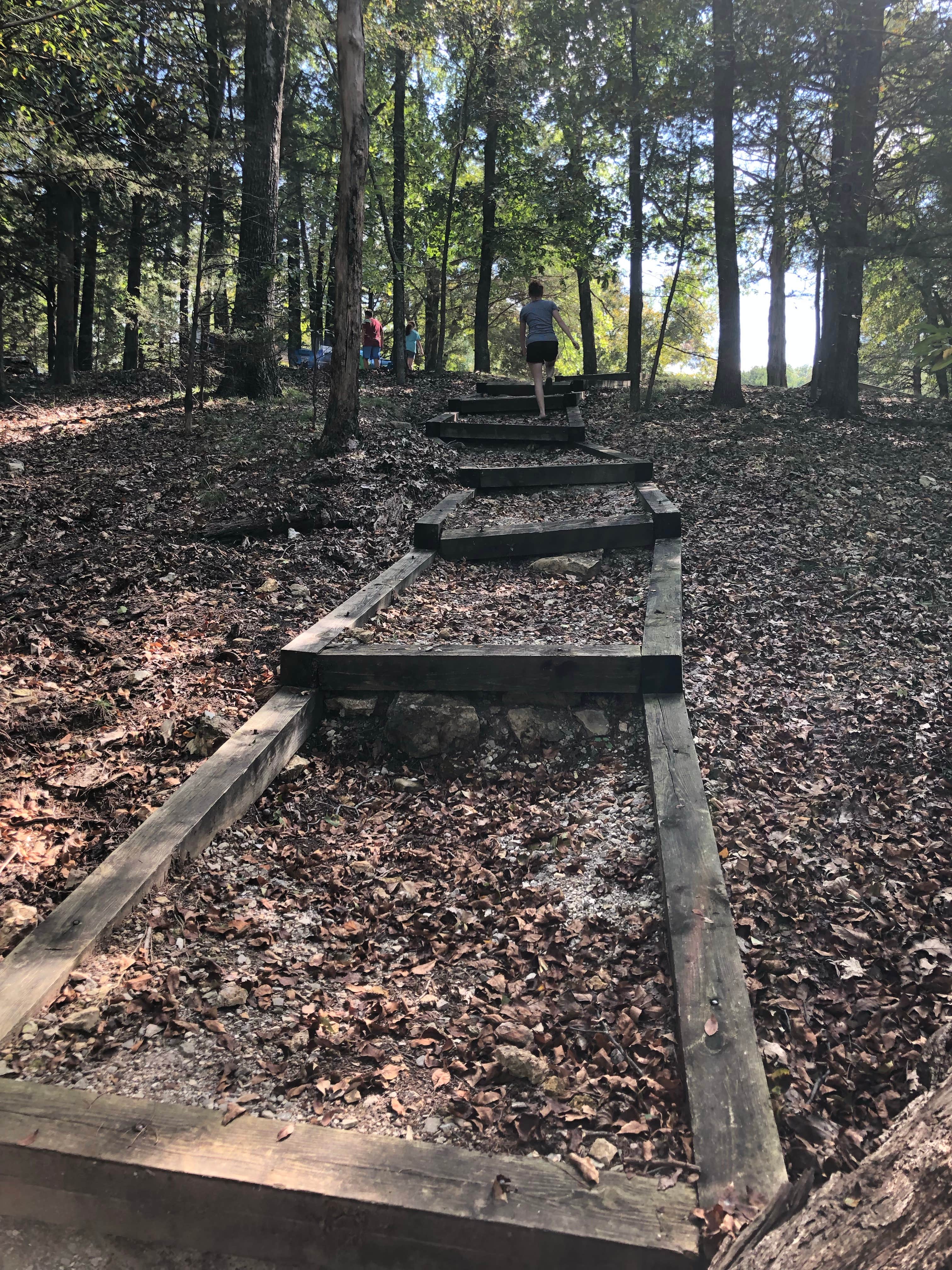 Camper submitted image from Rocky Branch Campground - 2