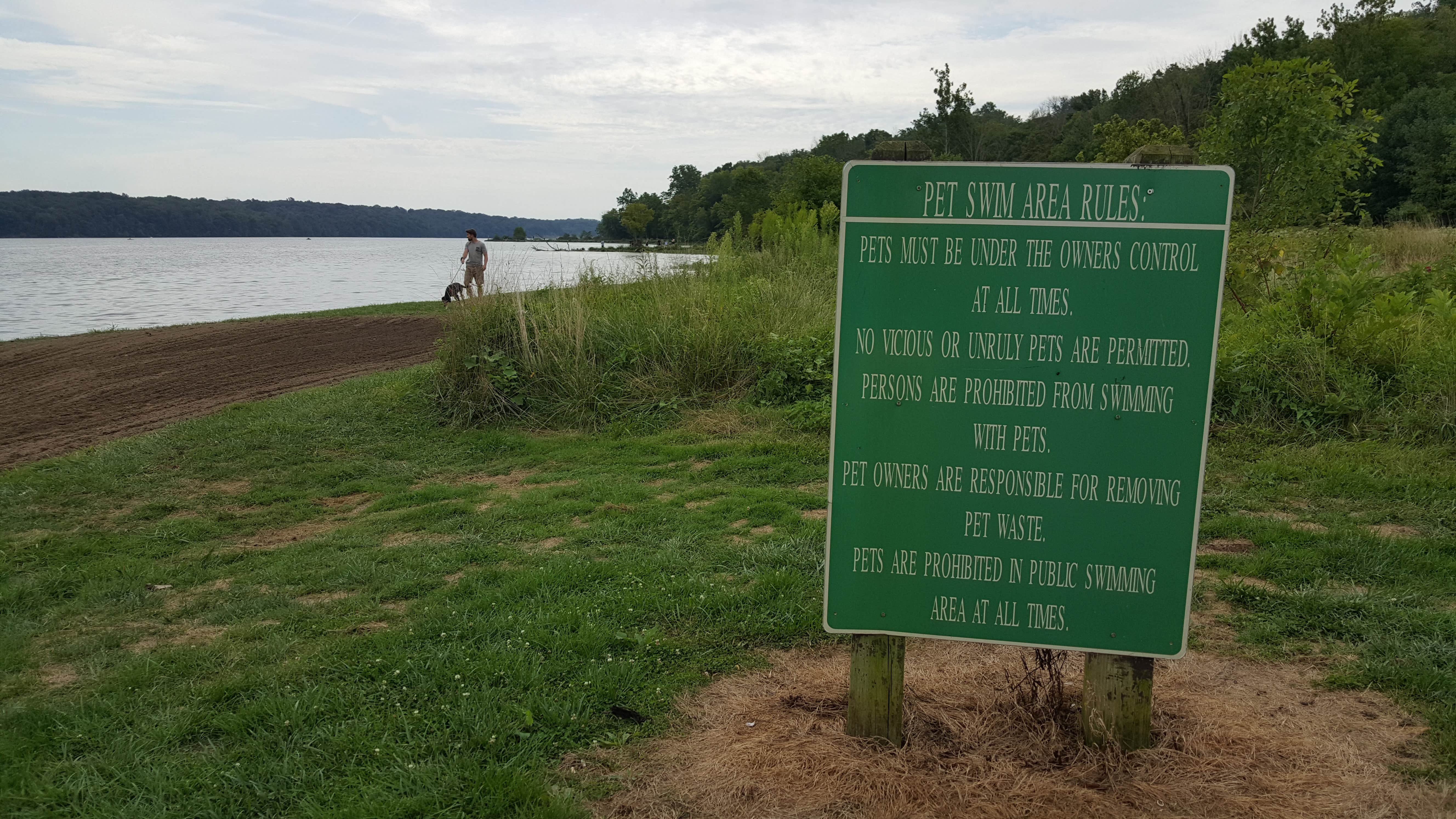 Camper submitted image from Hueston Woods State Park Campground - 5