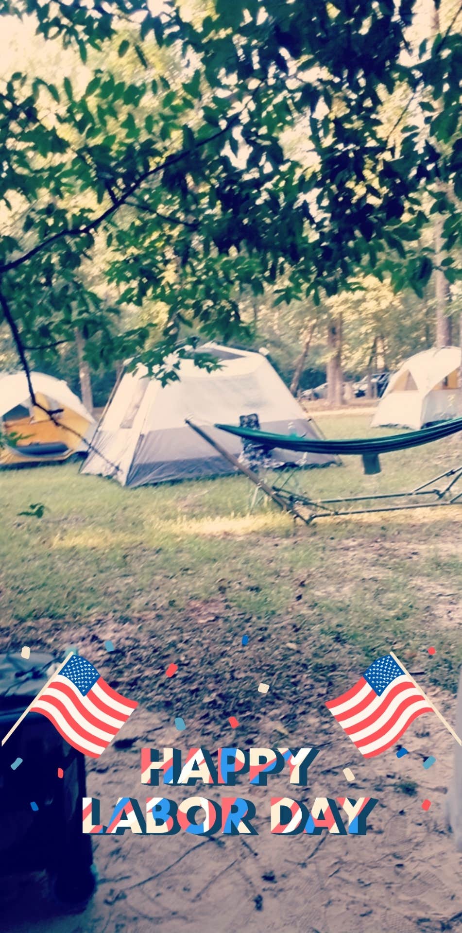 Lavender H.'s photo at Lake Houston Wilderness Park near New Caney, TX
