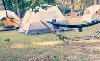 Lavender H.'s photo at Lake Houston Wilderness Park near Houston, TX