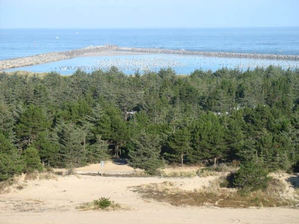 Camper submitted image from Umpqua Lighthouse State Park Campground - 2