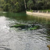 Review photo of Salt Springs Recreation Area by Ranae C., September 23, 2019