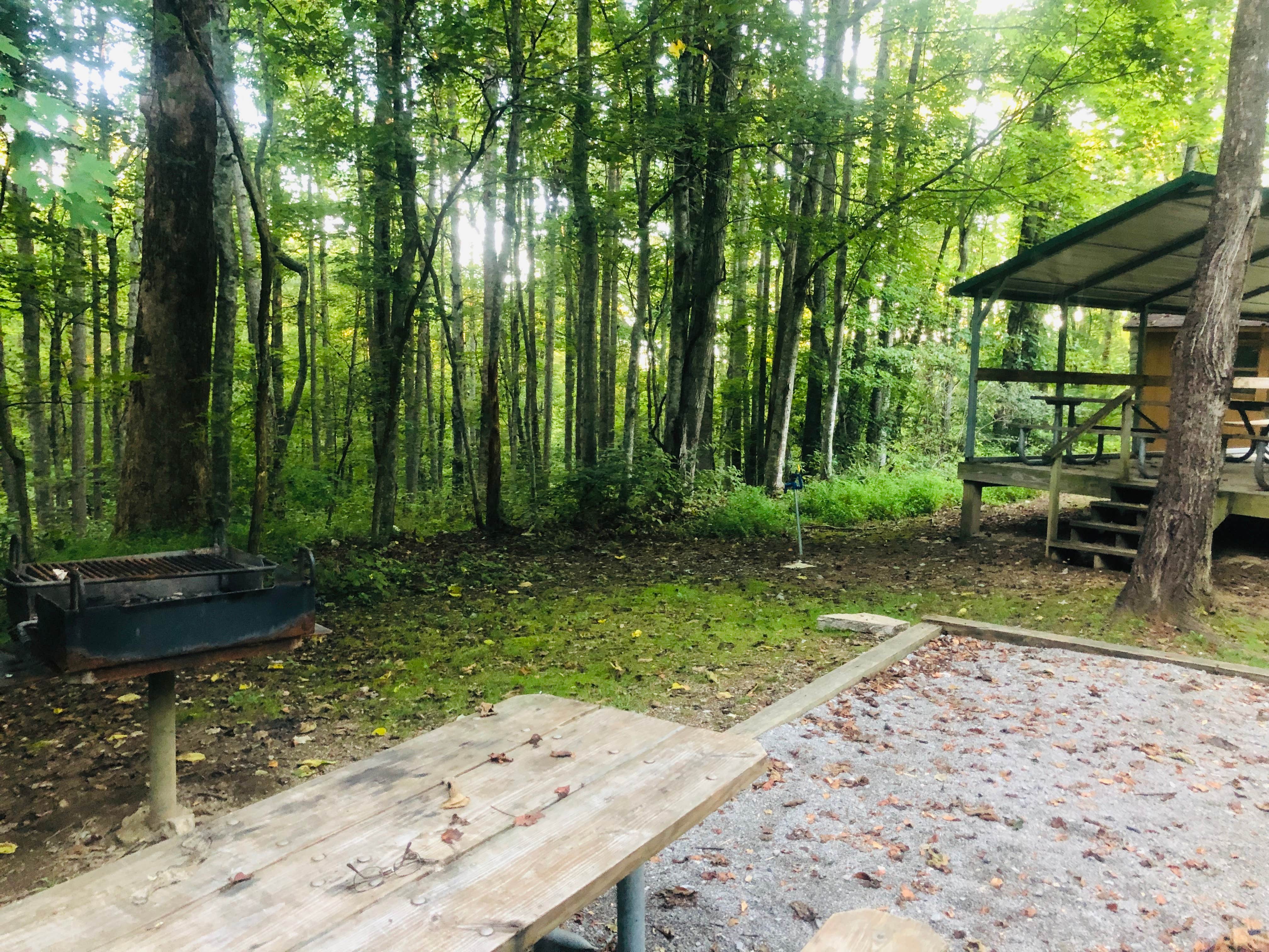 Shelly S.'s photo of a cabin at Natural Tunnel State Park Campground near Chuckey, TN