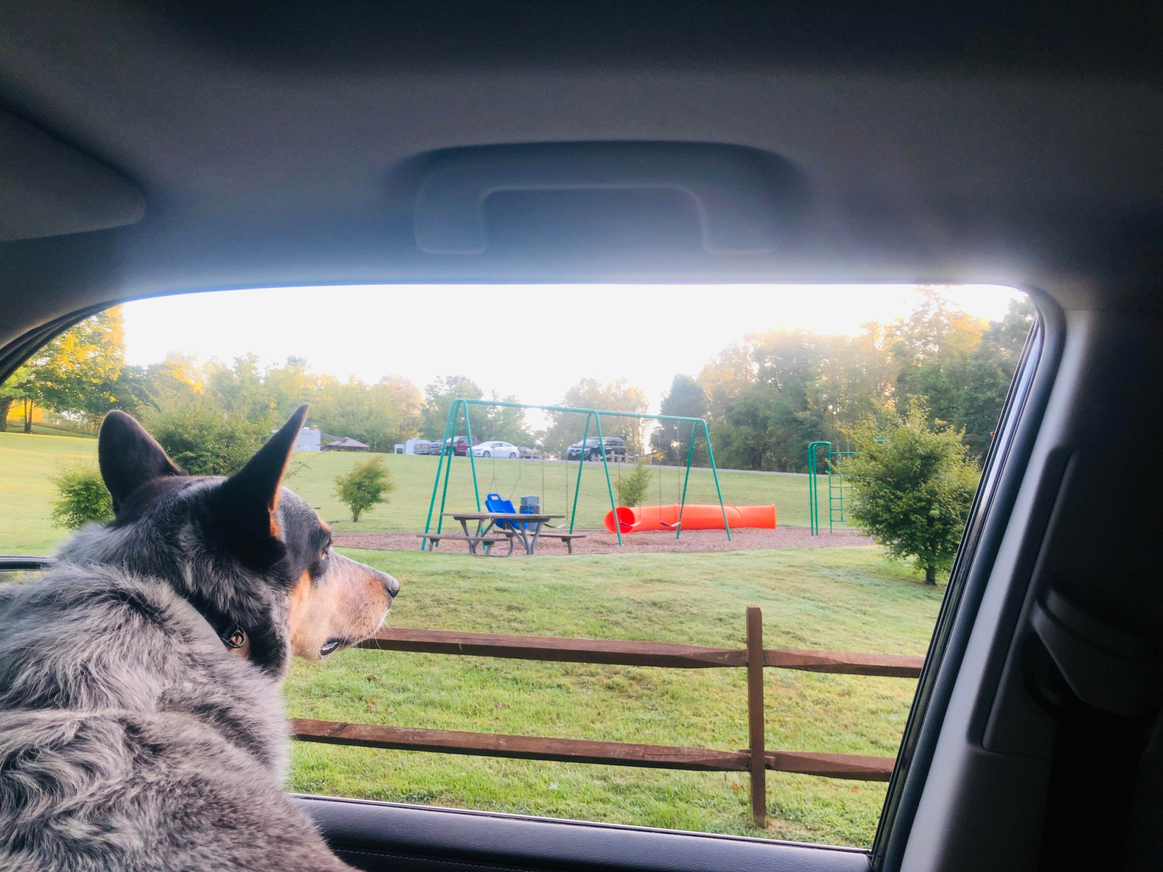 Shelly S.'s photo of camping with pets at Natural Tunnel State Park Campground near Kingsport, TN