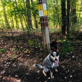 Review photo of Natural Tunnel State Park Campground by Shelly S., September 23, 2019