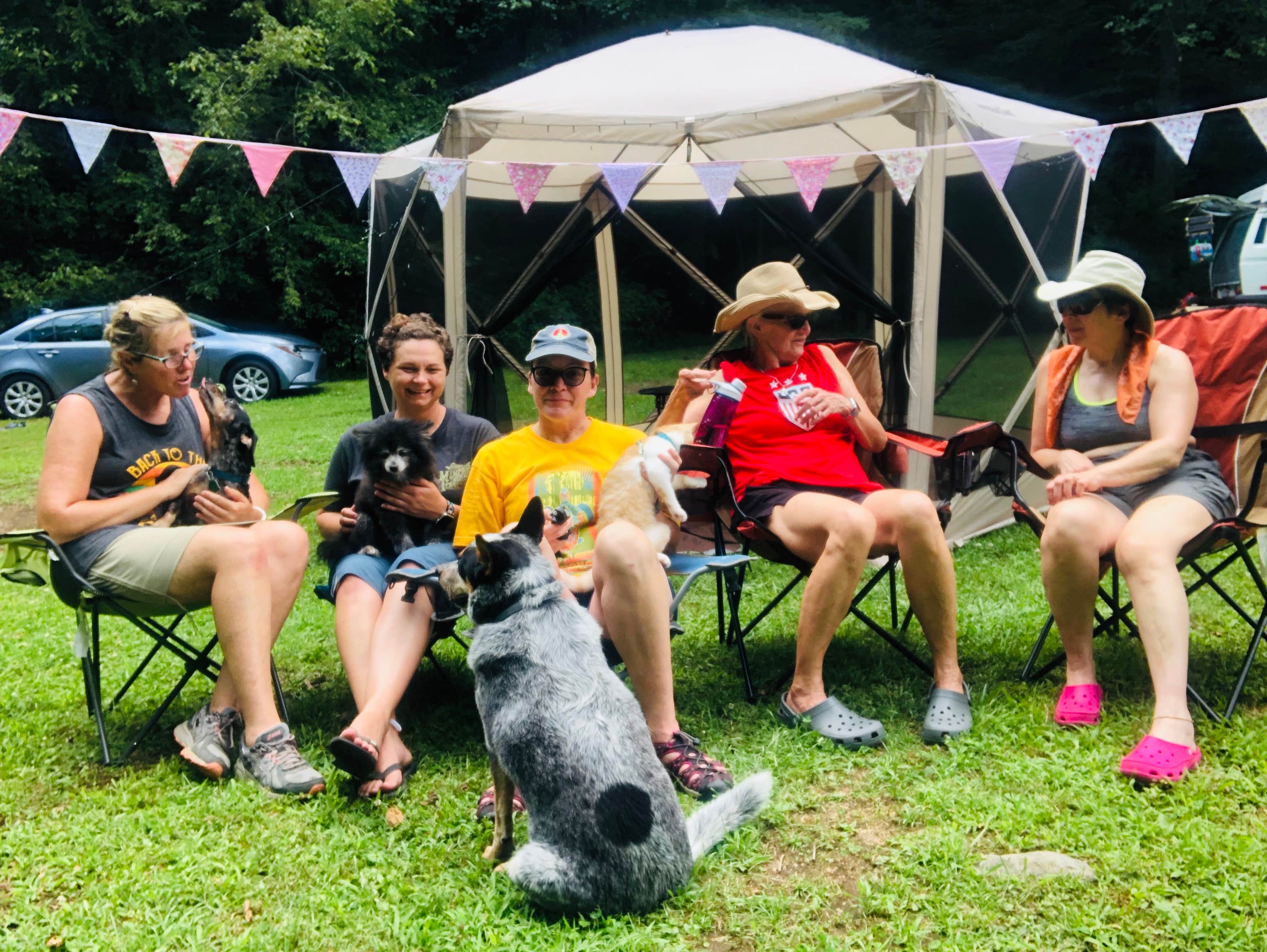 Shelly S.'s photo of tent camping at Bristol Fields Horse Camp near Murphy, NC