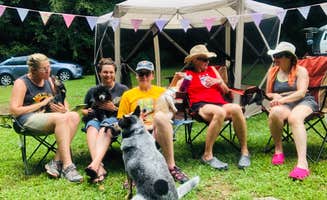 Shelly S.'s photo of tent camping at Bristol Fields Horse Camp near Culberson, NC