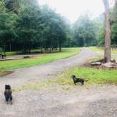 Review photo of Bristol Fields Horse Camp by Shelly S., September 23, 2019