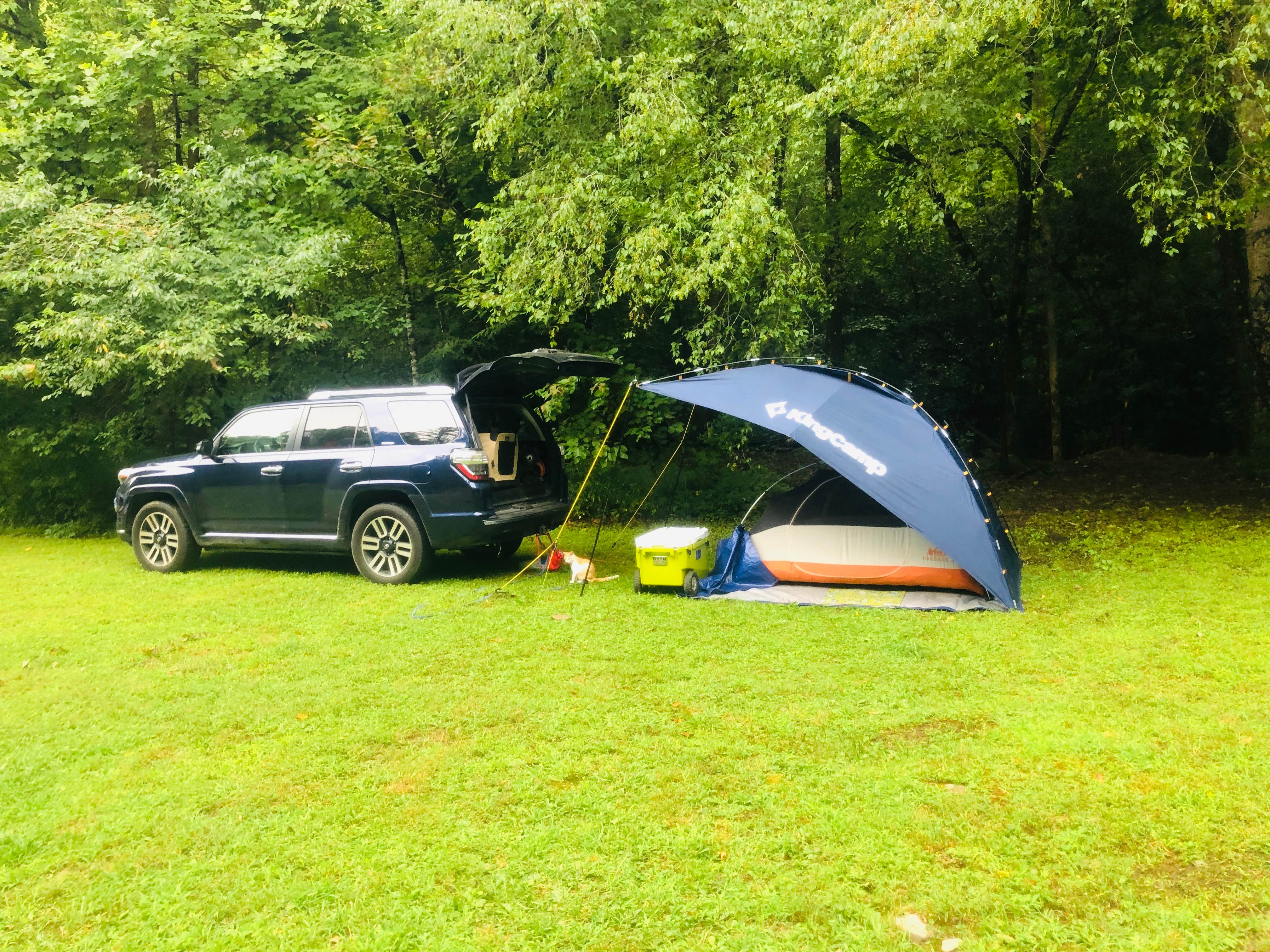 Shelly S.'s photo at Bristol Fields Horse Camp near Hayesville, NC