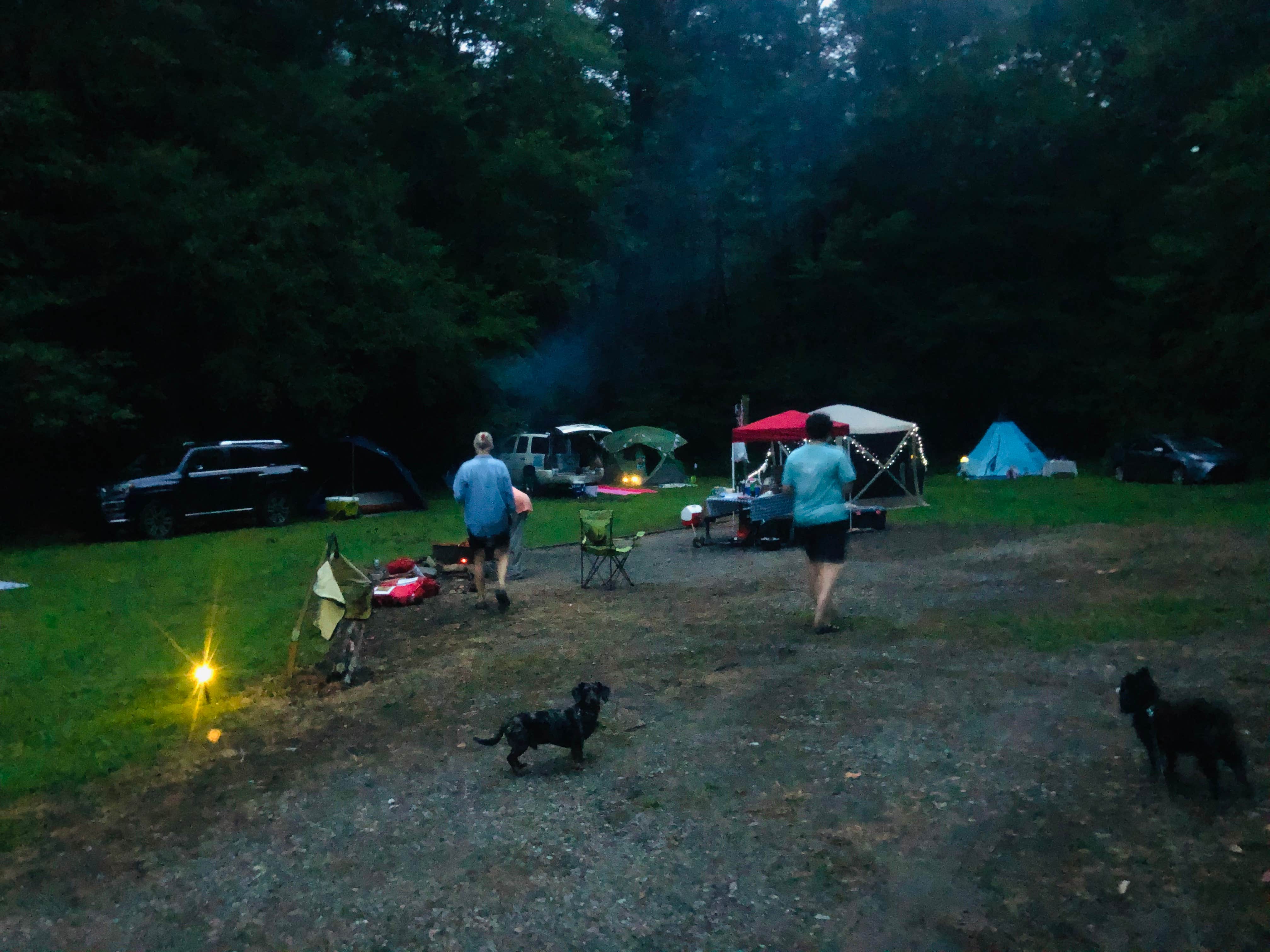Shelly S.'s photo at Bristol Fields Horse Camp near Hayesville, NC