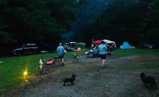 Shelly S.'s photo at Bristol Fields Horse Camp near Hayesville, NC