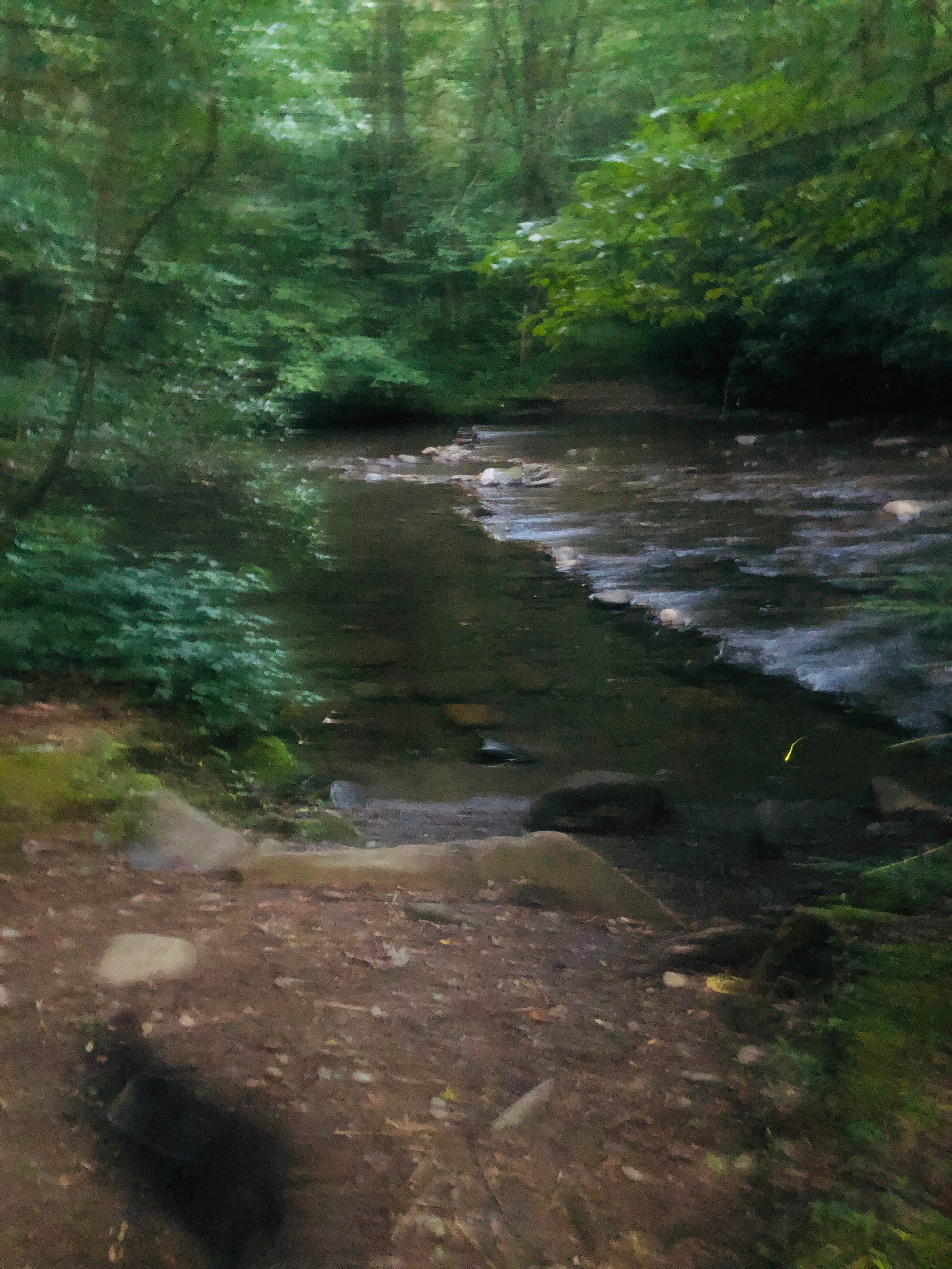 Camper-submitted photo at Bristol Fields Horse Camp near Murphy, NC