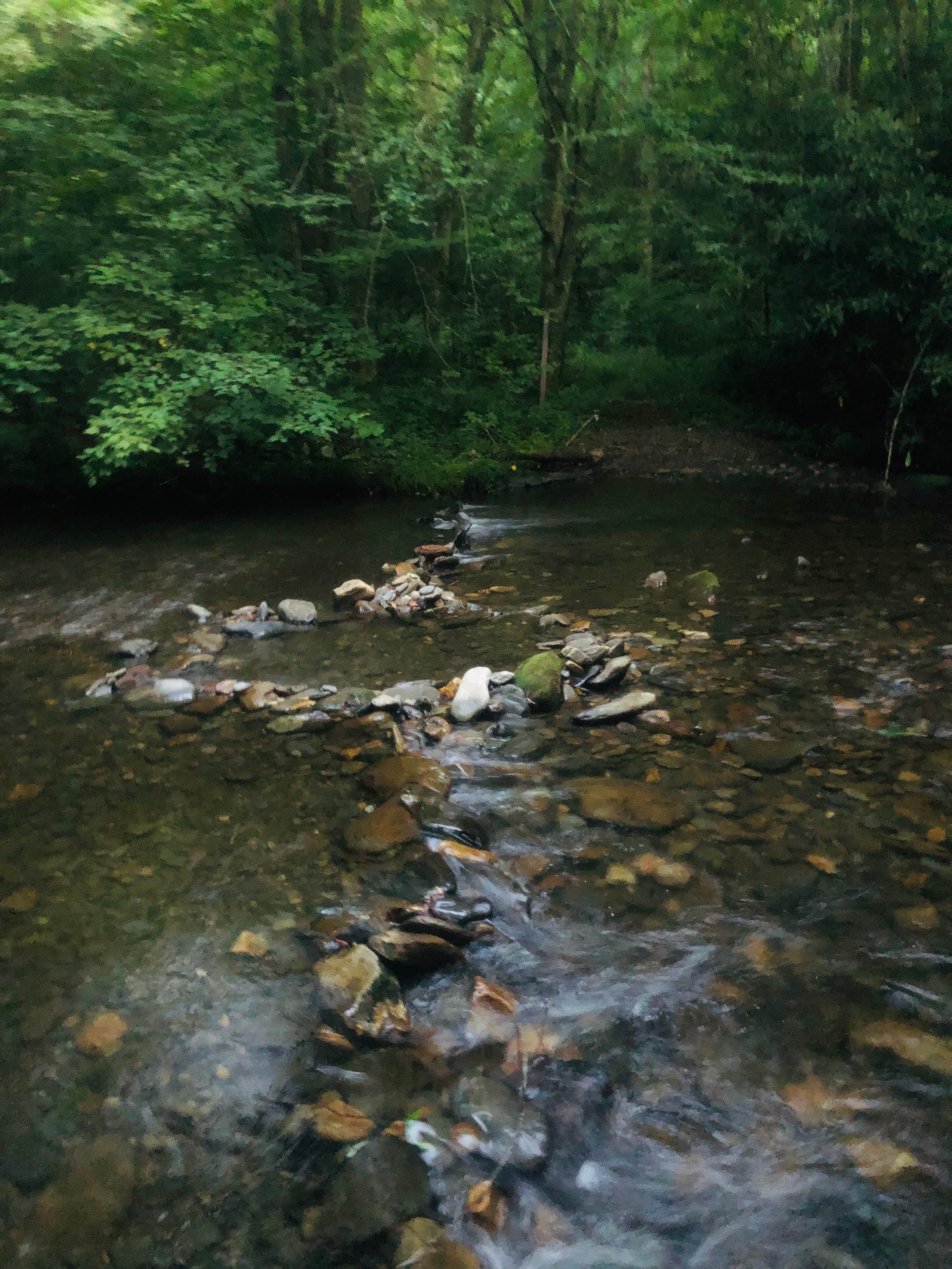 Camper-submitted photo at Bristol Fields Horse Camp near Murphy, NC