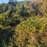 Review photo of Beaver Pond Campground — Harriman State Park by Steve W., September 23, 2019