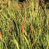 Review photo of Beaver Pond Campground — Harriman State Park by Steve W., September 23, 2019