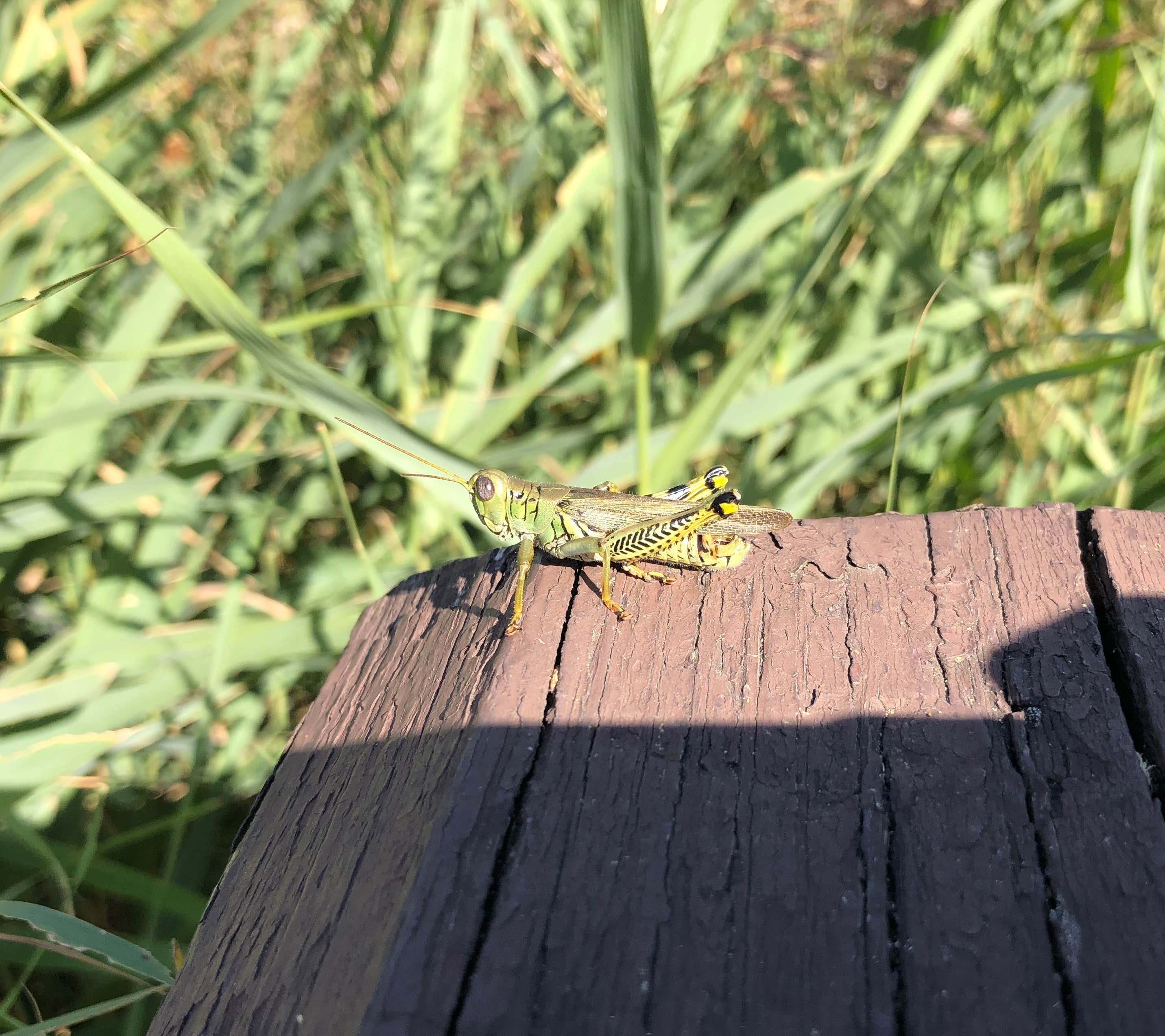 Camper-submitted photo at Beaver Pond Campground — Harriman State Park in New York