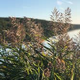 Review photo of Beaver Pond Campground — Harriman State Park by Steve W., September 23, 2019