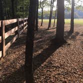 Review photo of The Ole Cornfield by Karen P., September 23, 2019