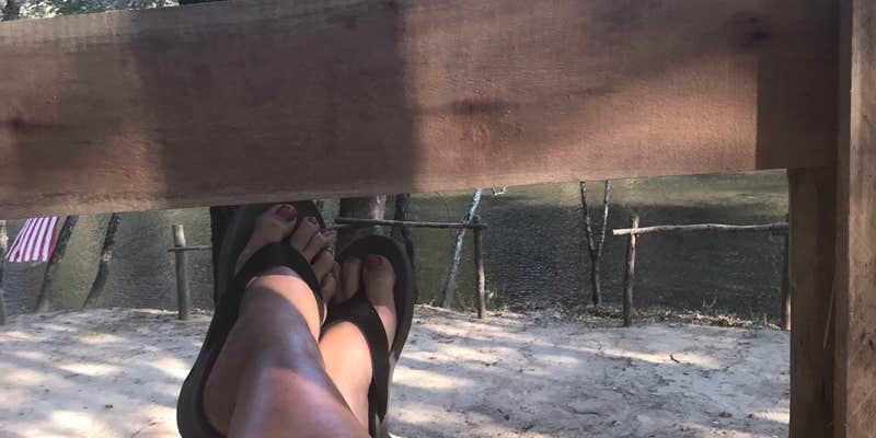 Camper submitted image from The Ole Cornfield