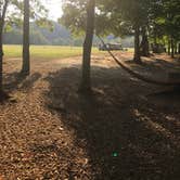 Review photo of The Ole Cornfield by Karen P., September 23, 2019