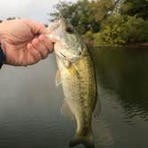 Review photo of Thousand Trails Lake Tawakoni by Tammie L., September 23, 2019