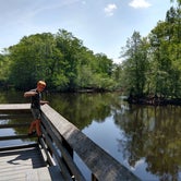 Review photo of Princess Ann — Lumber River State Park by Courtney B., September 23, 2019